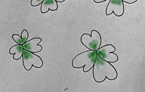 クローバー - cocoa remon