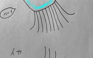 イカ - cocoa remon