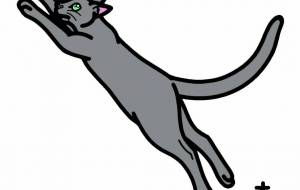 ロシアンブルー - シマハイエナ