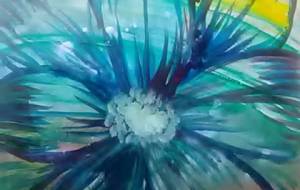 亜細亜の蓮 - サオリ