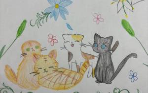 CATS DAY - ネモフィローズ