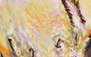 火喰い鳥(想像) - ITO