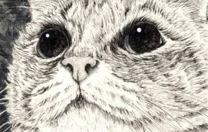 未来への希望 - 山田貴裕