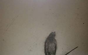 母さん、あのね、鳥がね、寂しいょって泣いたょ、母さん - 真鍋哲地