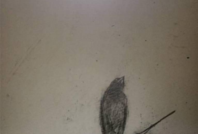 母さん、あのね、鳥がね、寂しいょって泣いたょ、母さん - 真鍋哲地 