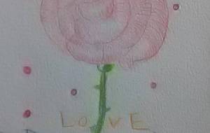 ありがとう - サオリ