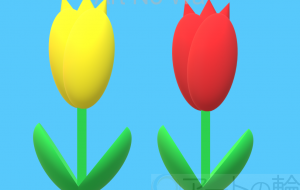 チューリップ - harune.