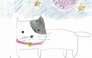 ハチワレねことピンクムーン -