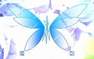 蝶・天使サイド - 星灯