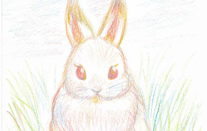 虹色えんぴつウサギ - ムナ
