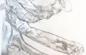 よく寝て、よく遊ぶ(愛猫=煎餅3才♂) - だ〜す