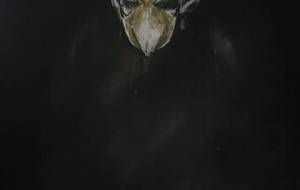 不動明王戦闘スタイル!アルティメット - 真鍋哲地