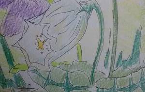 スプリング - サオリ