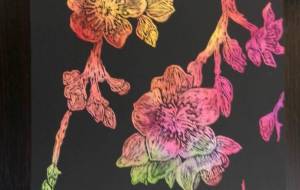 曇りど栄えつ白梅が香 - 明紅葉