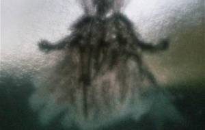 僕の最近の絵画投稿 - 真鍋哲地