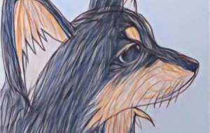 MOMOCHAN - 聖羽SEIHA