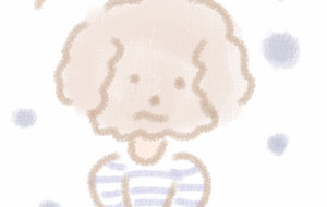 プードルパーマ - まかろんちゃん