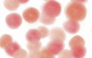 ◎を描いたよ! - naomi