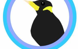 かわいい九官鳥 - しずく