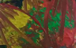 Asiaの生命と太陽 - サオリ