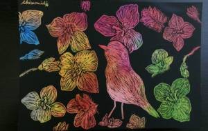 星の瞳と颯とツグミさん歩 - 明紅葉