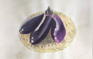 茄子紺 - 赤﨑ゆみ子