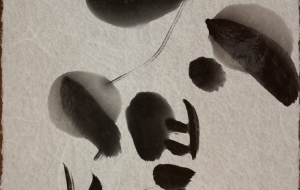 太陽 - 【イベント】第1期 Just In Time Best Action「義善催」