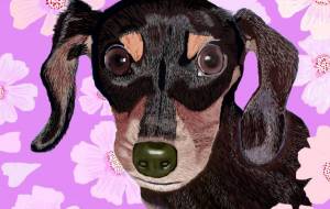 サクラ - 小雪0219