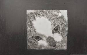 明日の眼差し - 【イベント】第1期 Just In Time Best Action「義善催」