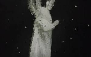 我が思ふ蛍愛仏桜、悲死(最後の命を懸けて愛し合う、蛍) - 真鍋哲地