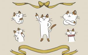 ワンポイント猫セット - 柚子はちみつ