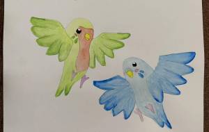 幸せインコ - 恵麻