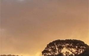 心、何もないです、投稿も少しでいいかな? - 真鍋哲地