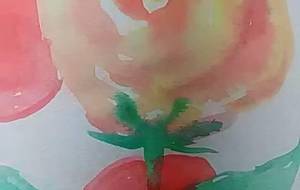 「オレンジ色のビタミン」 - サオリ