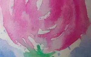 「青空の下のスイトピー 」 - サオリ