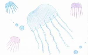 クラゲ - にじいろ
