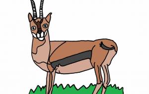 トムソンガゼル - 工房はんど michiko