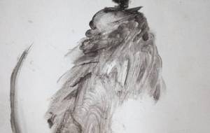 死神、思うだろ、愛は死んだ、どこにもいない、どこにも、君は僕に食べ物の見せしめ、僕は全ての否定 - 真鍋哲地