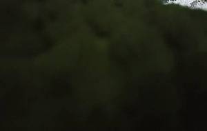 あんたにはわからない、ボロきれのような、服を着る者の気持ち - 真鍋哲地