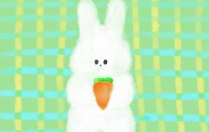 白ウサギさん - Junna 