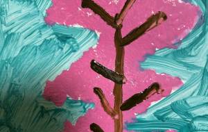 桜2024 - 笹谷正博