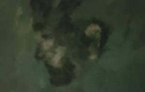 緑りよ深遠淵わ縁?(生活保護緑色) - 真鍋哲地