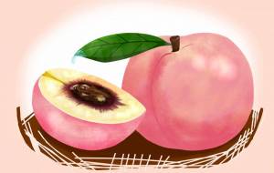 桃 - 工房はんど 丸屋