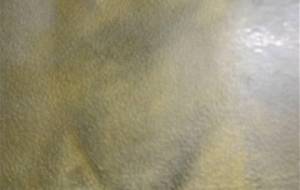 ほむる母影、もう絵画の、意味は、無 - 真鍋哲地