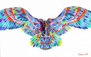 羽ばたく鷹 - 田寺 誠人