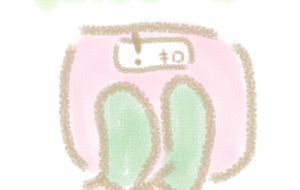 体重 - まかろんちゃん