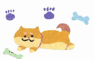 柴犬 - もぐちゃん