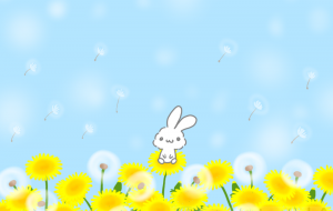 たんぽぽ畑 - ONE3