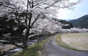 無常の凪 - 大坪命樹