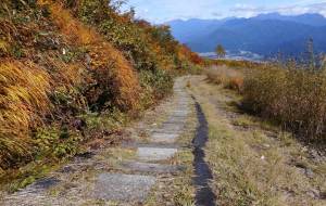 帰路 - 大坪命樹